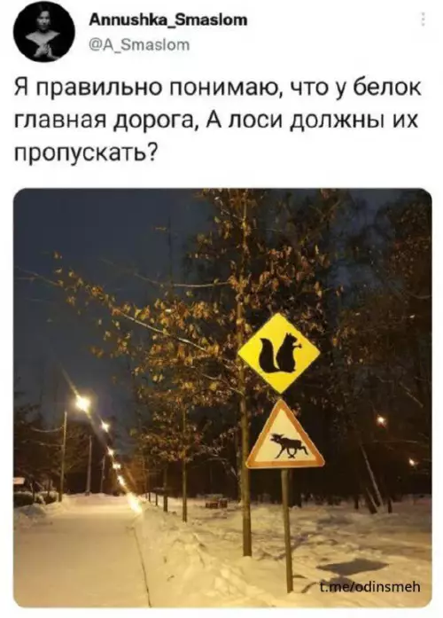 Смешная картинка №669200 картинки