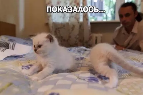 Смешная картинка №381225