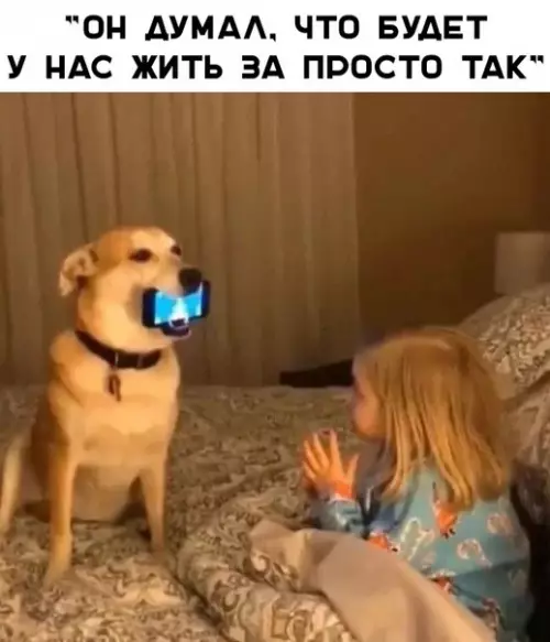 Смешная картинка №342604