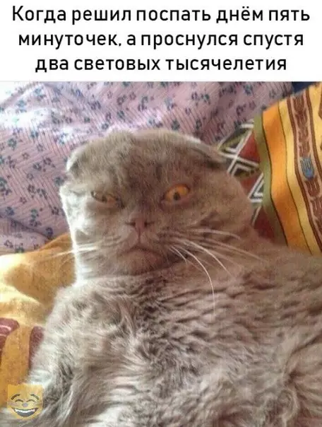 Смешная картинка №319615