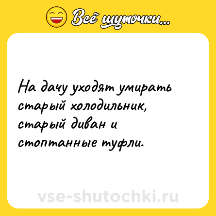 Шутка: На дачу уходят умирать старый холодильник, старый диван и стоптанные туфли.