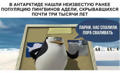 Смешная картинка №319772