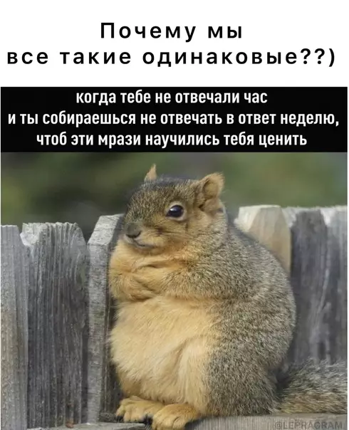 Смешная картинка №577457