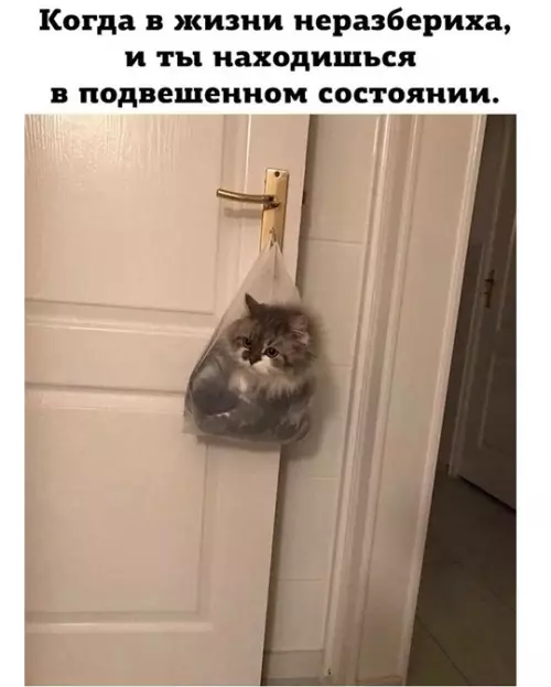 Смешная картинка №733320