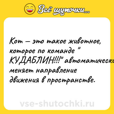 Шутка: Кот — это тaкое животное, которое по комaнде 