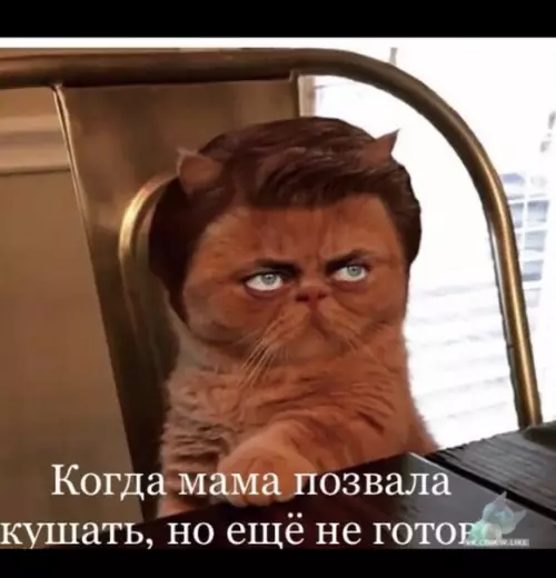 Смешная картинка №330809