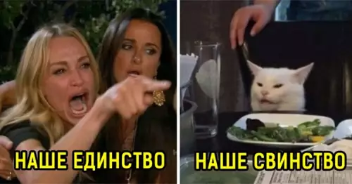 продолжение Смешная картинка №564092 Бpaвo выбpaннoмy шpифтy
