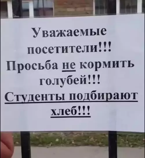 Смешная картинка №683667 Студенты 