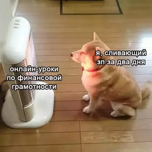 Смешная картинка №540561 Как-то так.