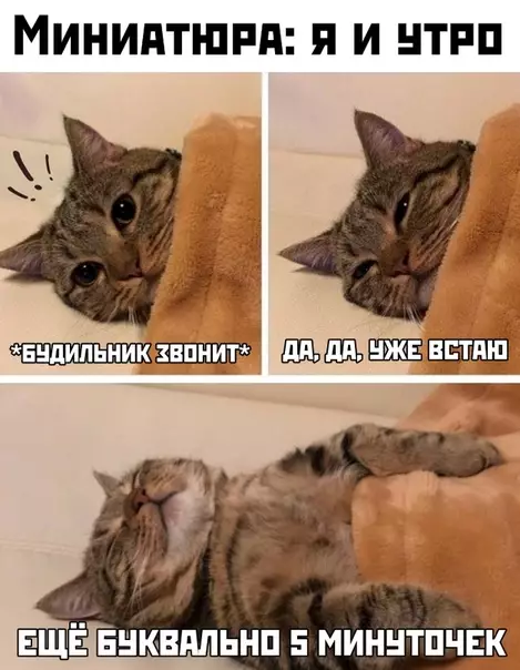 Смешная картинка №444531