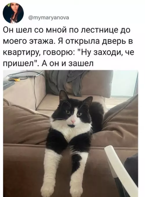 продолжение Смешная картинка №671694