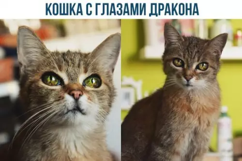 Смешная картинка №222240