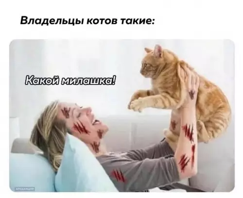 Смешная картинка №675358