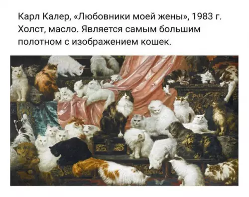 Смешная картинка №333030 кошки