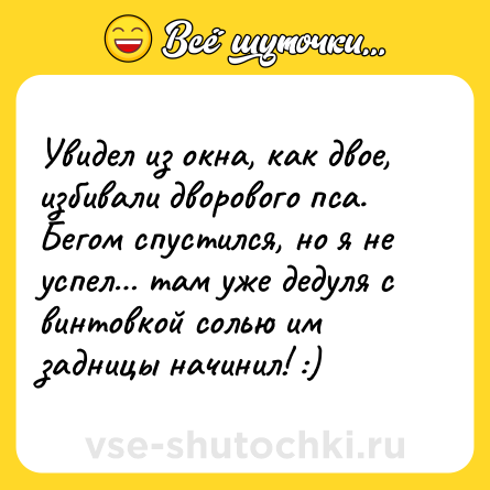 Шутка: Увидел из окна, как двое, избивали дворового пса. Бегом спустился, но я не успел… там уже дедуля с винтовкой солью им задницы начинил! :)