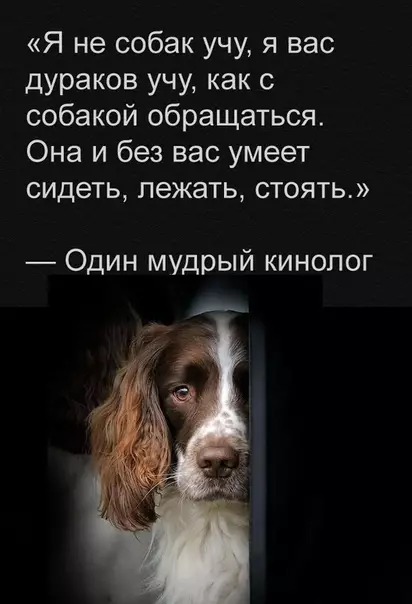 Смешная картинка №363291
