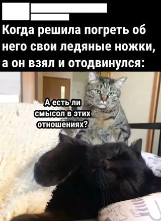 Смешная картинка №705546