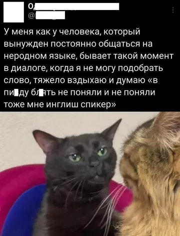 Смешная картинка №754491