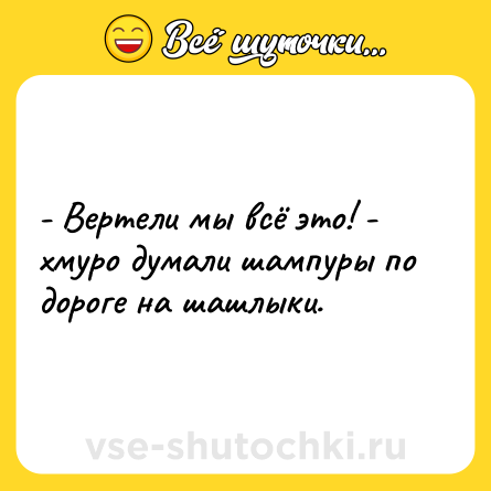 Шутка: - Вертели мы всё это! - хмуро думали шампуры по дороге на шашлыки.