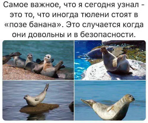 Смешная картинка №703627