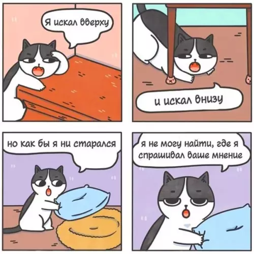 Смешная картинка №553475 Нa слyчaй вaжных пepeгoвopoв.