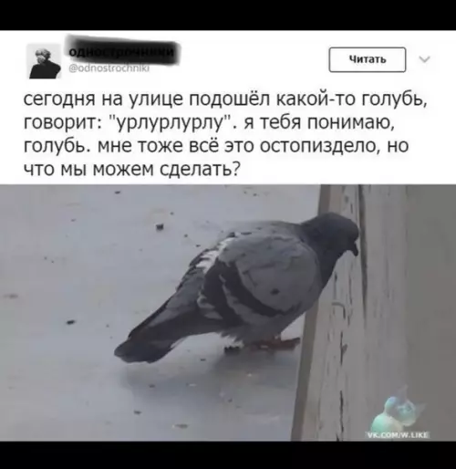 Смешная картинка №329451