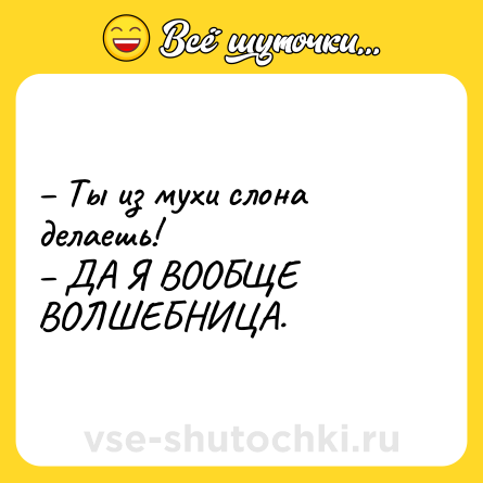 Шутка: – Ты из мухи слона делаешь! <br>– ДА Я ВООБЩЕ ВОЛШЕБНИЦА.