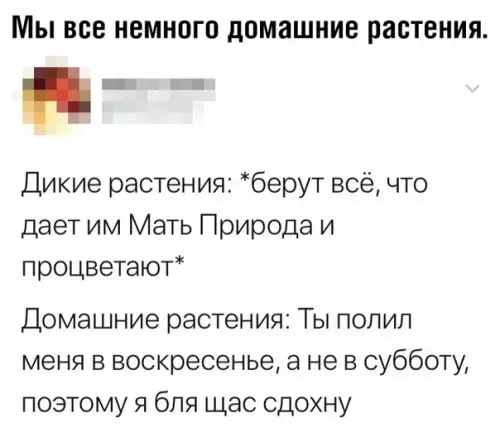 Смешная картинка №357813