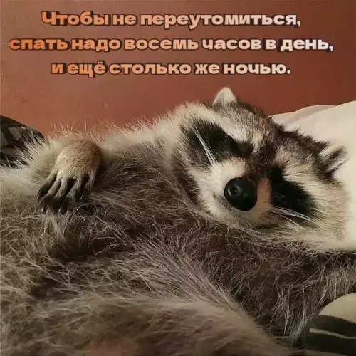 Смешная картинка №812851