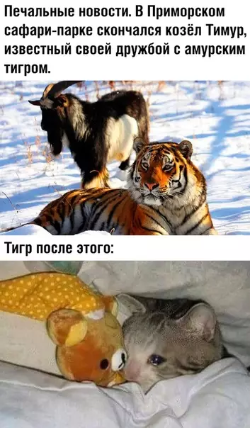 Смешная картинка №394986