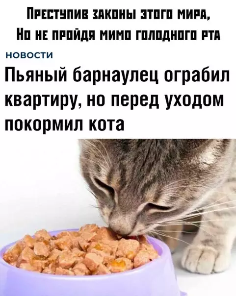 Смешная картинка №358881