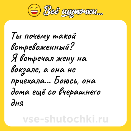 Шутка: Ты почему такой встревоженный?<br>Я встречал жену на вокзале, а она не приехала... Боюсь, она дома ещё со вчерашнего дня