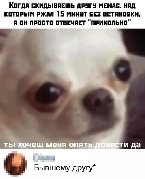 Смешная картинка №443356