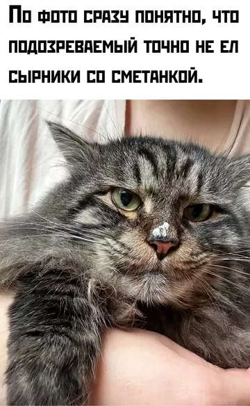 Смешная картинка №743687 Полностью оправдан