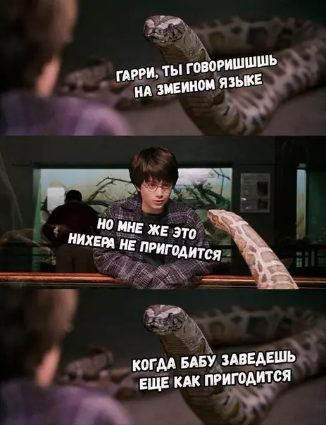 Смешная картинка №243485