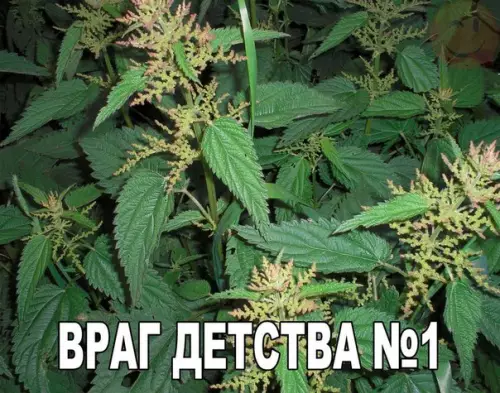 Смешная картинка №181423