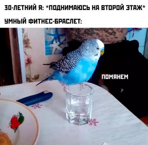 Смешная картинка №745187