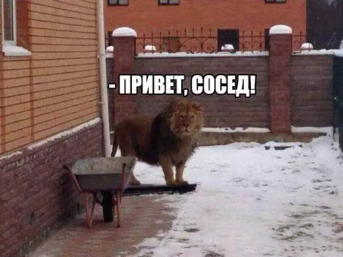 Смешная картинка №185575