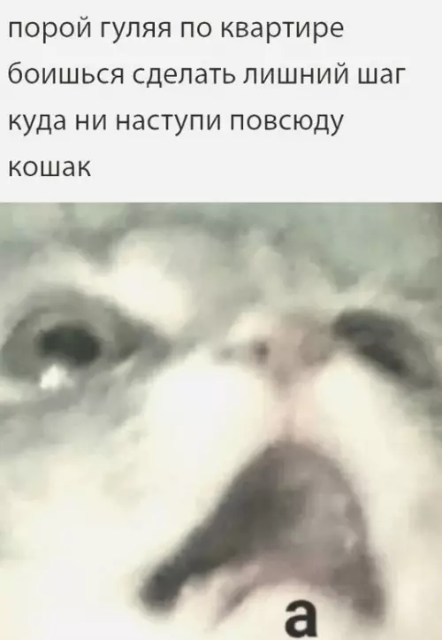 Смешная картинка №754801