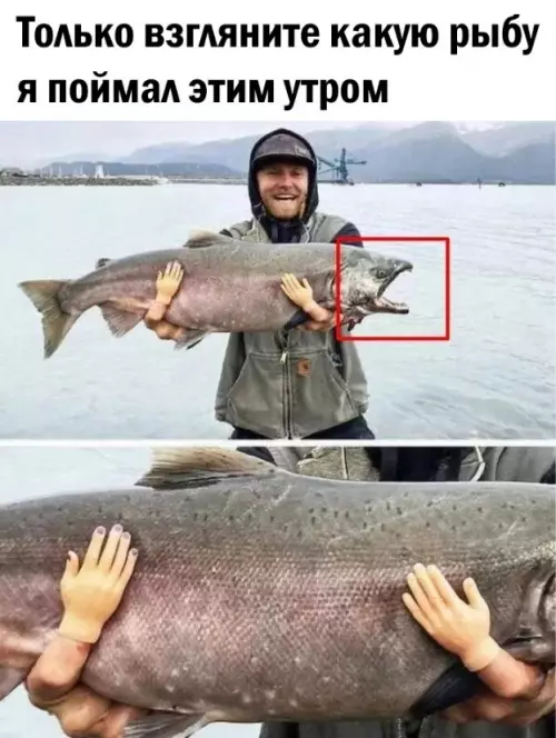 Смешная картинка №736535 Вот это улов