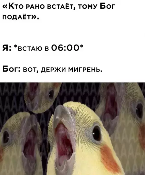 Смешная картинка №579075