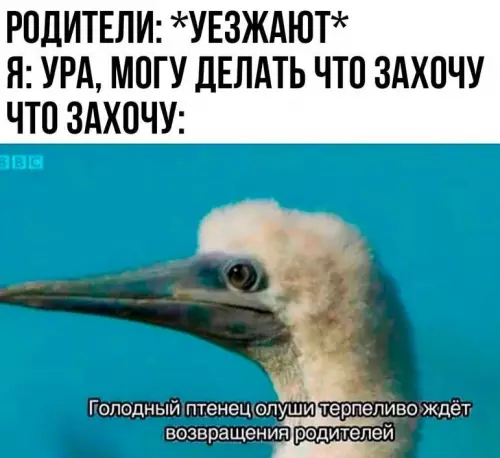 Смешная картинка №697713