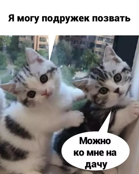 продолжение Смешная картинка №594156 Kaк понять, чтo ты cтap
