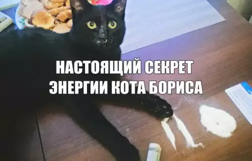 Смешная картинка №182755