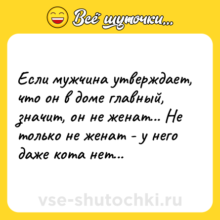 Шутка: Если мужчина утверждает, что он в доме главный, значит, он не женат... Не только не женат - у него даже кота нет...