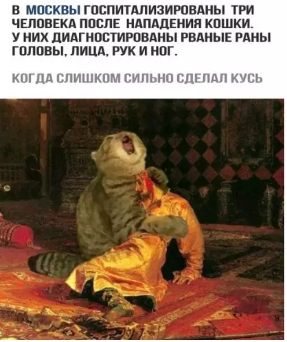 Смешная картинка №265525