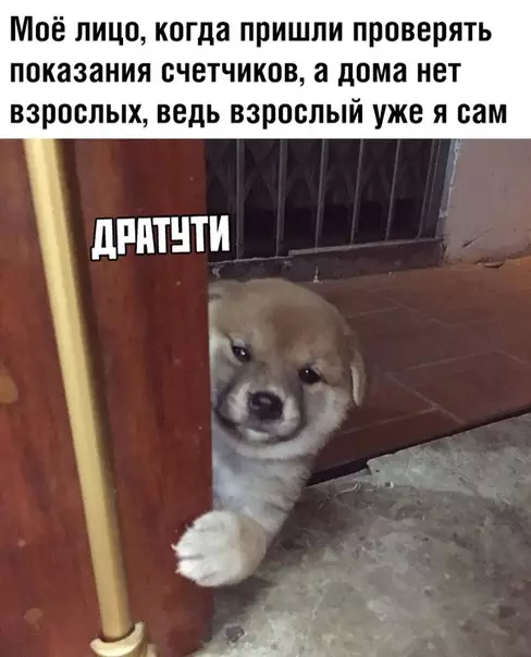 Смешная картинка №354998