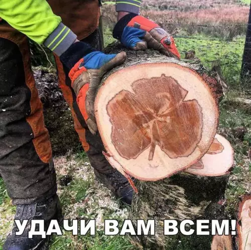 Смешная картинка №222294