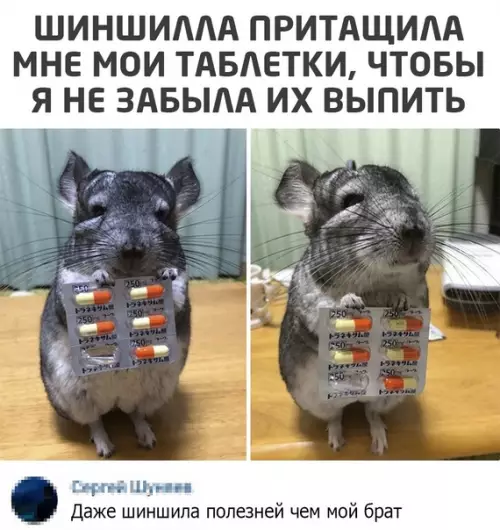 Смешная картинка №547625