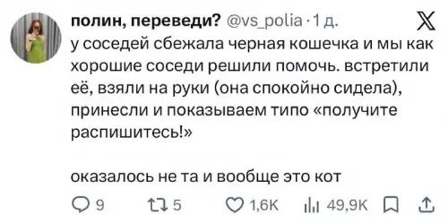 Ожидание: милая кошечка 🐈‍⬛ Реальность: Кот-обманщик! - у соседей сбежала черная кошечка и мы как хорошие соседи
